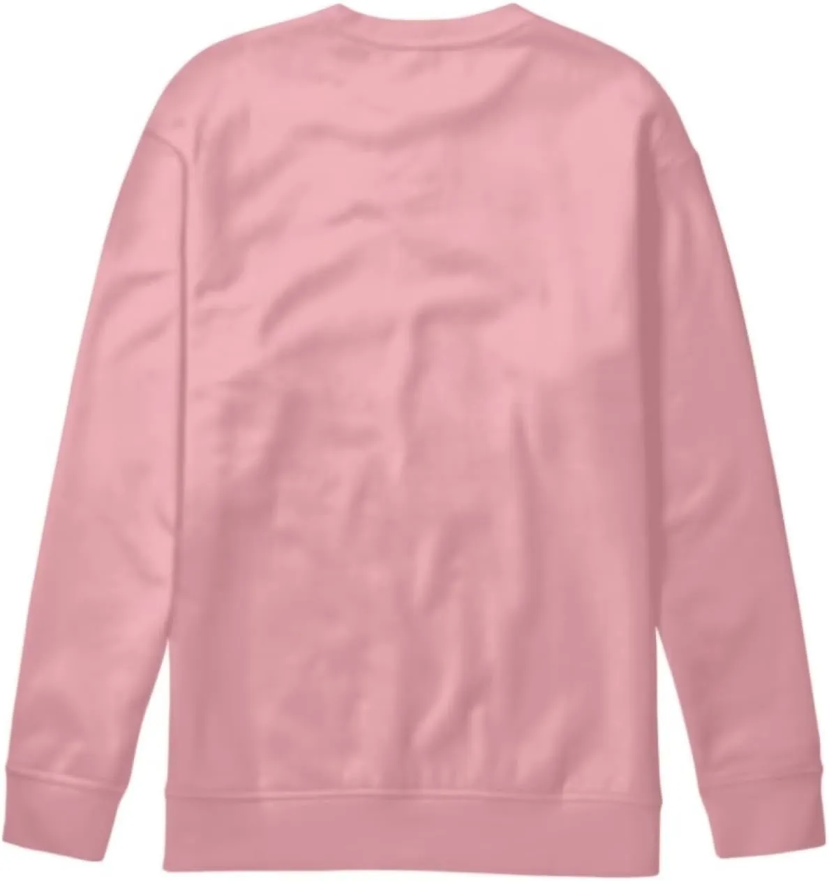 Girls Cute Graphic Sweatshirt Long Sleeve Sweater Fall Outfit 6-16Y
