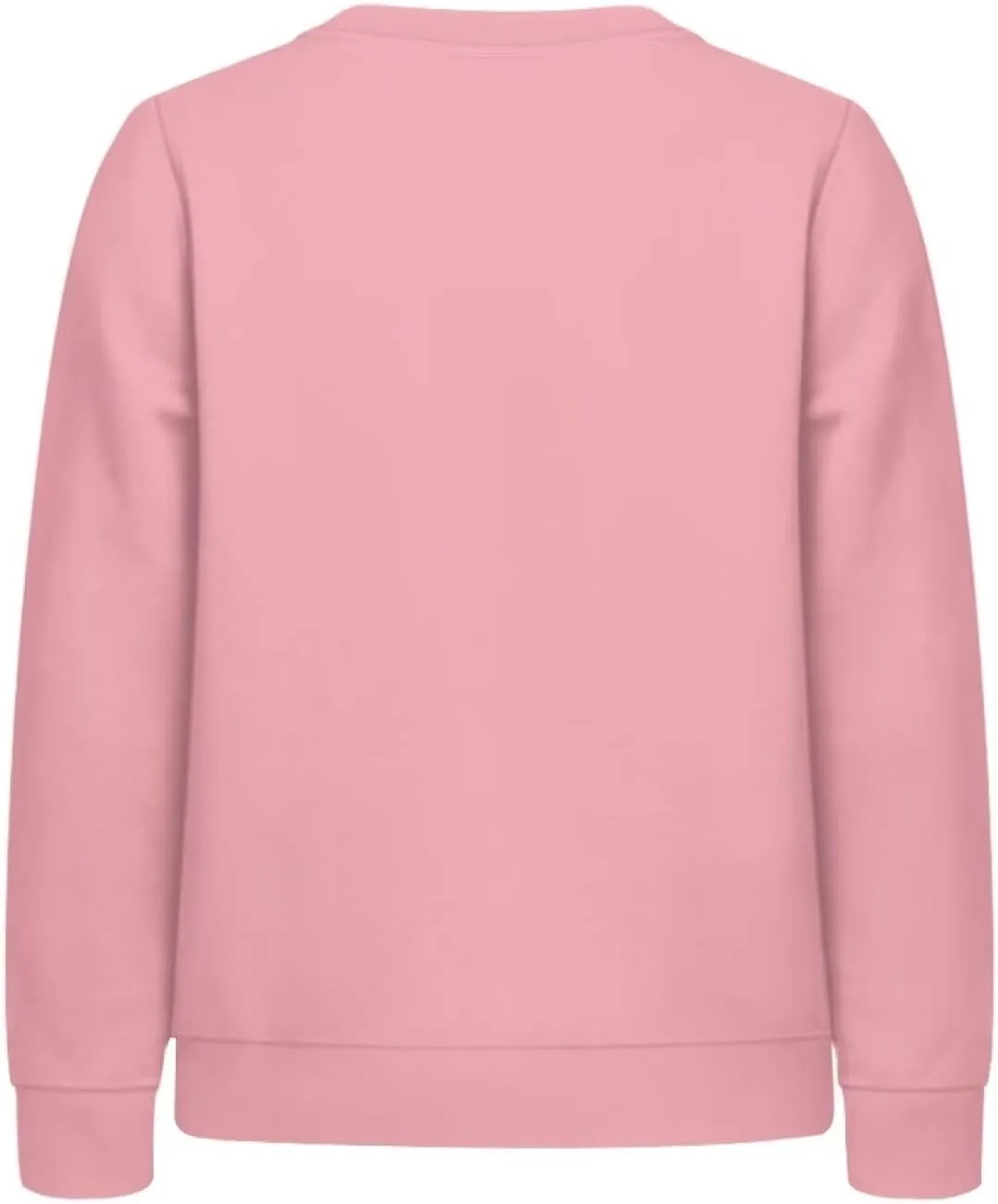 Girls Cute Graphic Sweatshirt Long Sleeve Sweater Fall Outfit 6-16Y